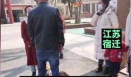 江苏家长爆料视频大全集,家庭教育热点问题深度解析