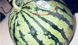 最新百万网红吃瓜,揭秘娱乐圈最新吃瓜盛宴！