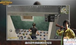 新人爆料素材视频,视频内容深度解析