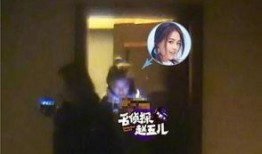 酒店房事在线观看,揭秘酒店房事在线观看的私密世界